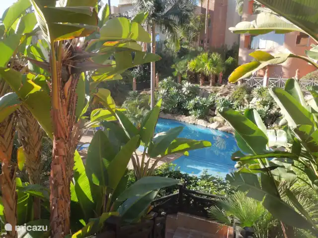 Location de Vacances Espagne, Costa del Sol, Benahavis, appartement - Jardins de Albaicín piscine et jardin