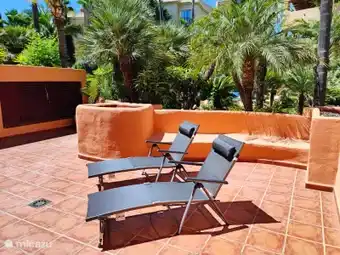 terrace apartment + 2 sun loungers