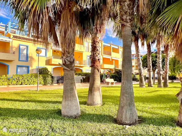 Location de Vacances Espagne, Costa Blanca, El Verger, appartement - Appartement Oasis El Verger jardin