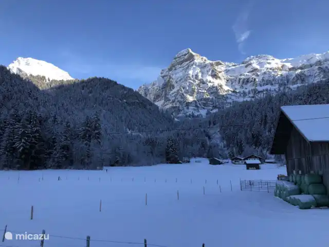 Location de Vacances Suisse, Oberland bernois, Lenk, chalet - Chalet drei Tannen salon vue hivernale