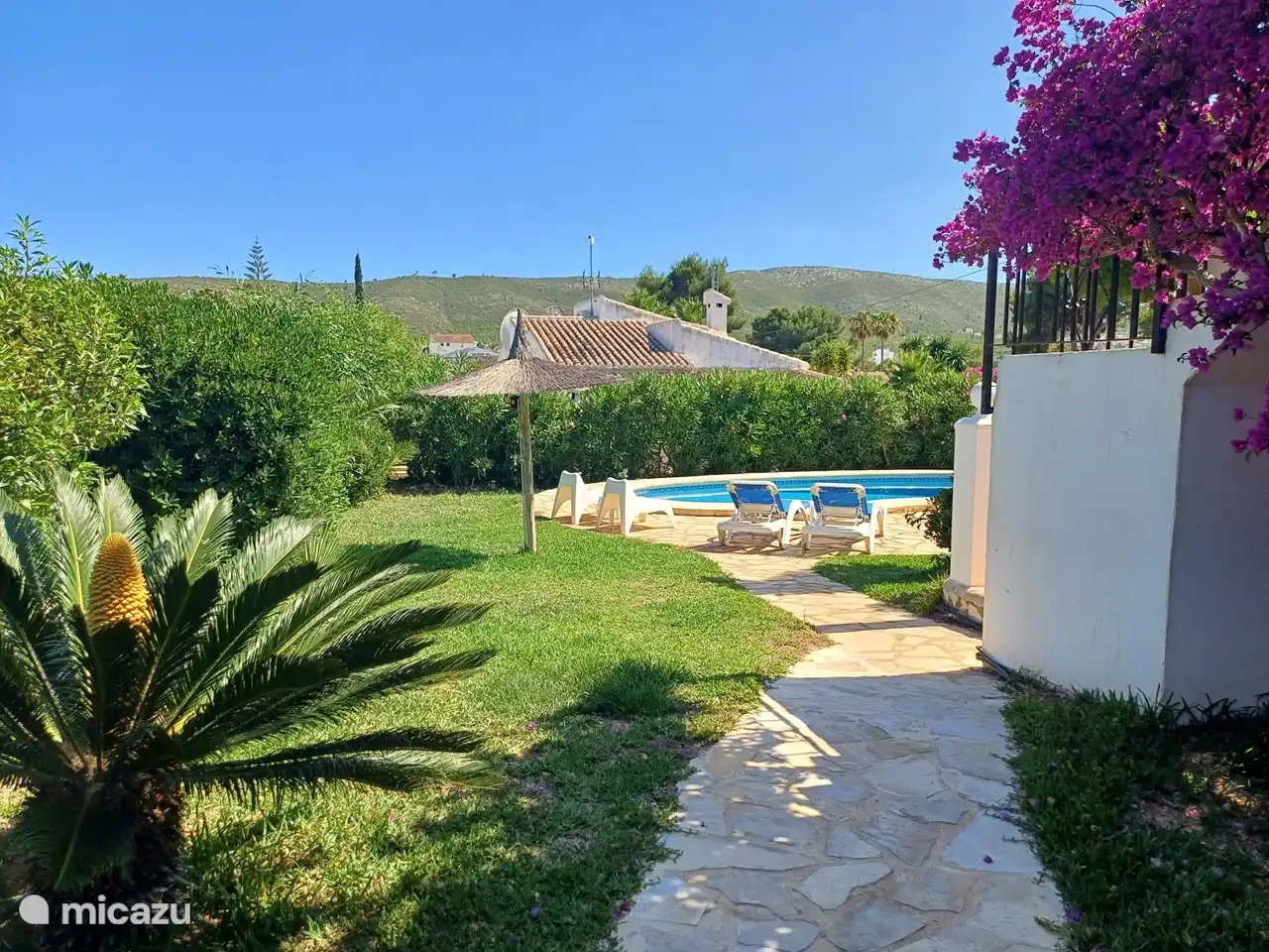 Vue d’ensemble du jardin