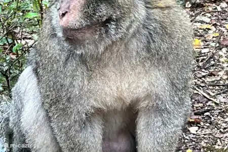 Cuevas de Padirac/Rocamadour/Parc de loisirs la Saule