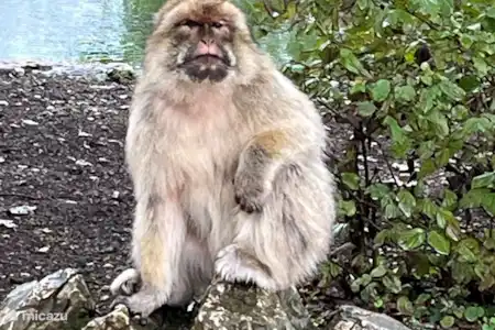 Cuevas de Padirac/Rocamadour/Parc de loisirs la Saule