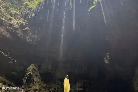 Cuevas de Padirac/Rocamadour/Parc de loisirs la Saule