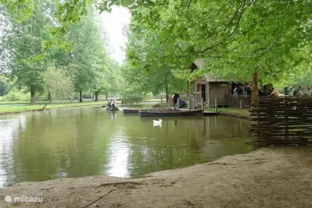 Univerland - La bugeu