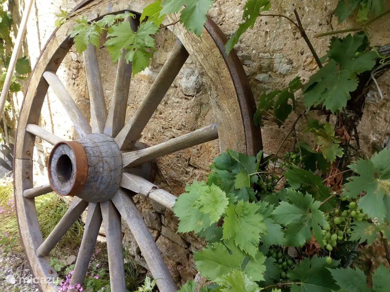 Nos raisins ! Ne manquez pas de visiter l’un des grands domaines viticoles de la région.