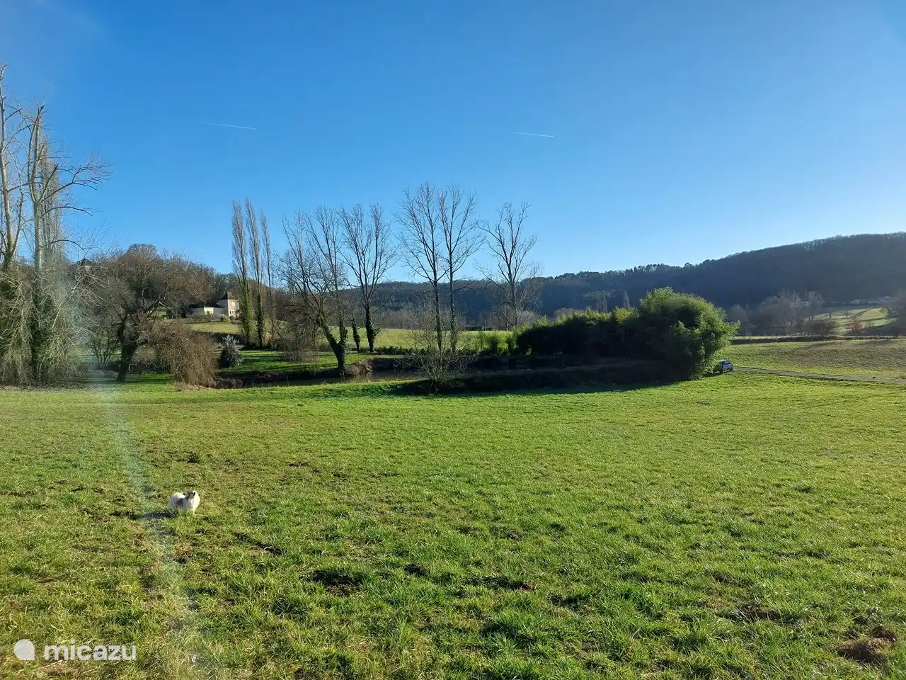 6ha de jardin dans 'LES TROIS L'. Un chien bien élevé est le bienvenu