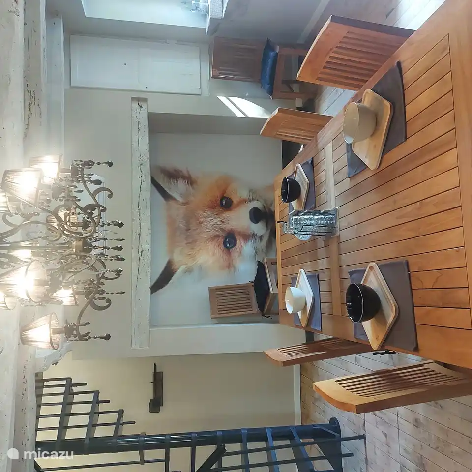 Cuisine 'Gîte Renard'