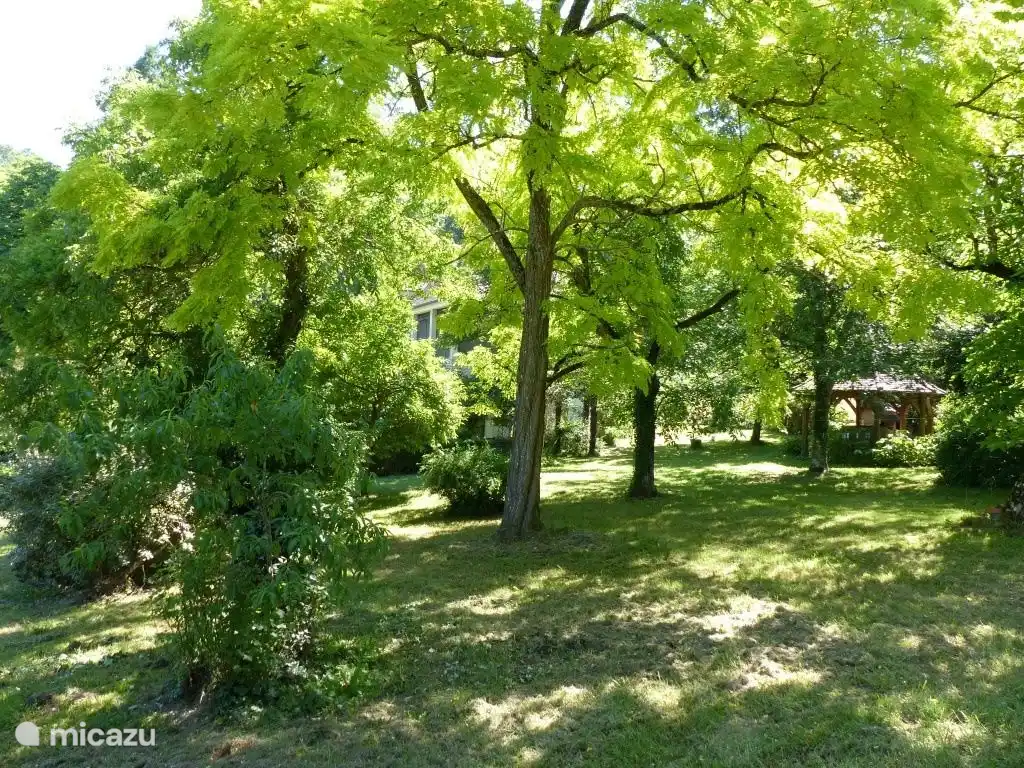 Jardin avec pergola pour tête à tête.