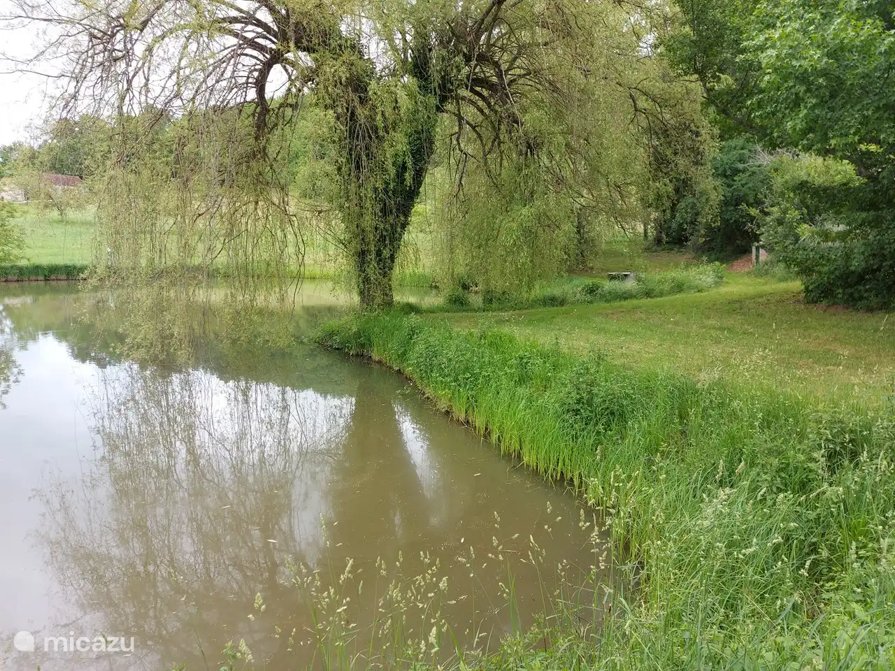 Notre bel étang ! Pêcher!