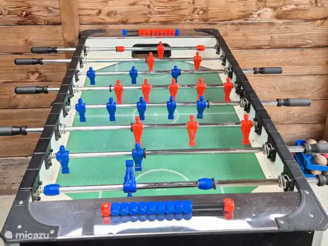 Guesthouse Lazey huren in Nederland, Gelderland, Voorthuizen - vakantiehuis Tafelvoetbal