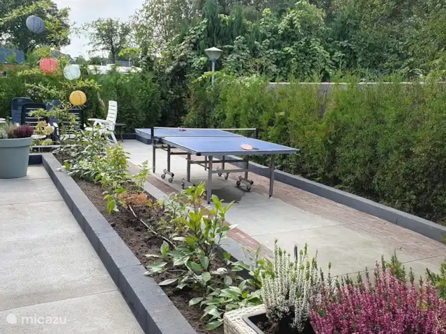 Guesthouse Lazey huren in Nederland, Gelderland, Voorthuizen - vakantiehuis Tafeltennis