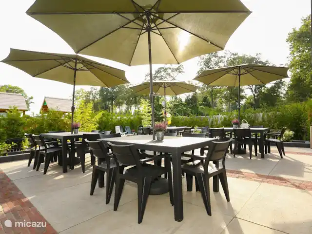 Guesthouse Lazey huren in Nederland, Gelderland, Voorthuizen - vakantiehuis Zonnige tuin