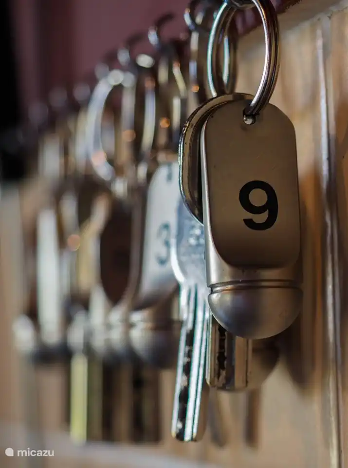 Toutes les chambres disposent d'une salle de bain privative avec douche, toilettes et lavabo.