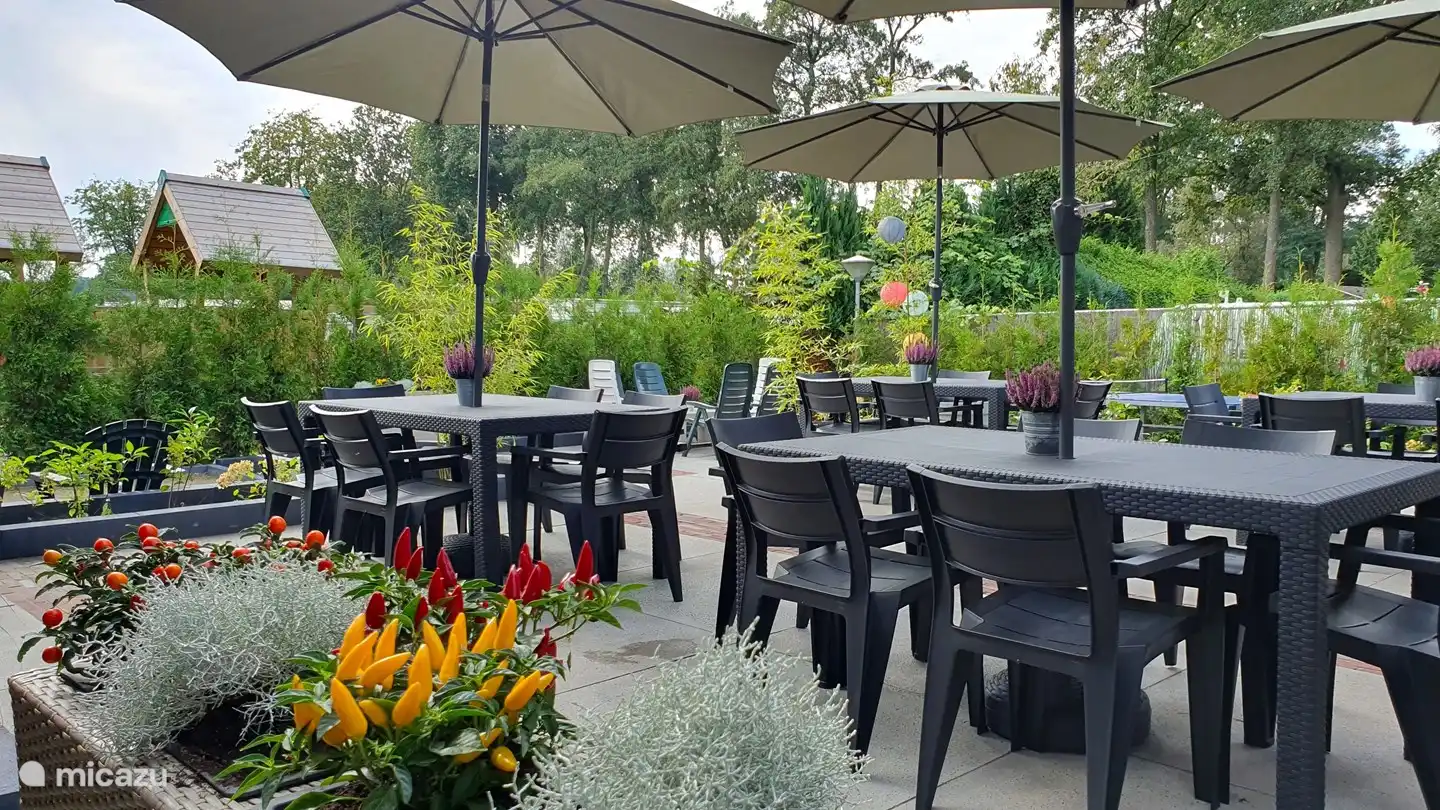 Jardin avec auvent, table de ping-pong, jeu de boules, trampoline et jeu de fléchettes.
