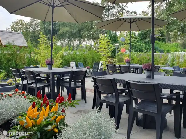 Guesthouse Lazey huren in Nederland, Gelderland, Voorthuizen - vakantiehuis Tuin met overkapping, tafeltennistafel, jeu de boules, trampoline en dartbord.