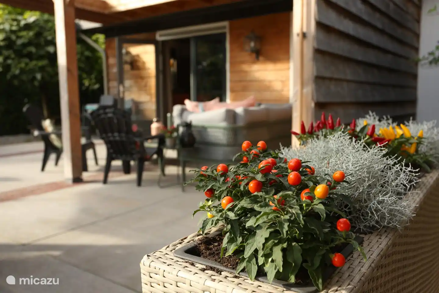 Jardin avec auvent, table de ping-pong, jeu de boules, trampoline et jeu de fléchettes.