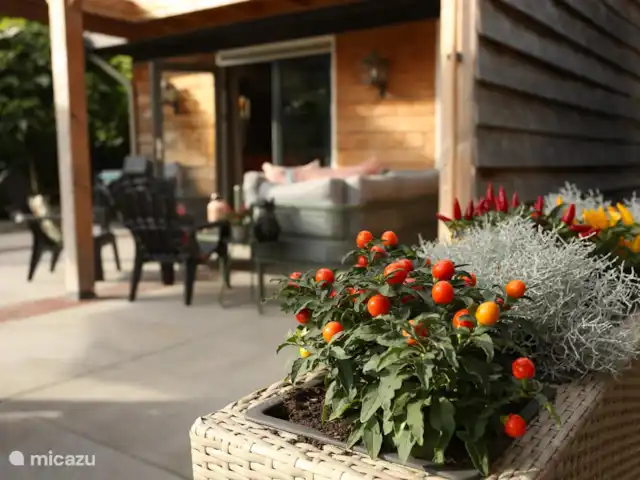 Guesthouse Lazey huren in Nederland, Gelderland, Voorthuizen - vakantiehuis Tuin met overkapping, tafeltennistafel, jeu de boules, trampoline en dartbord.