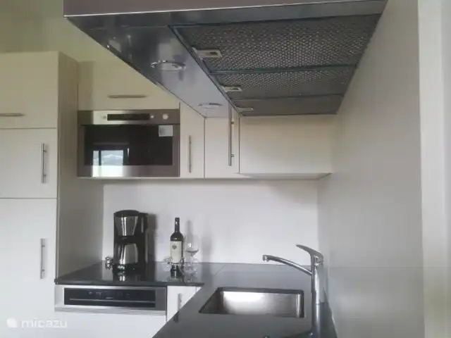 Résidence alpine Panoramab. Kitzbühel | Autriche, Salzburgerland, Hollersbach - appartement Cuisine