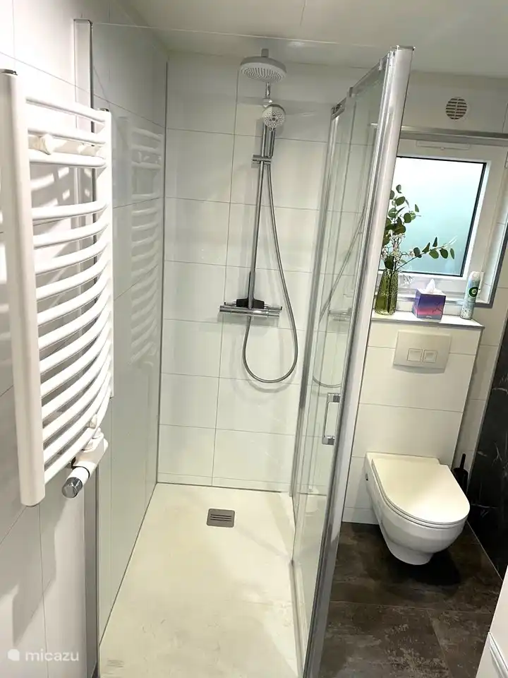 Begehbare Dusche mit Regenfall