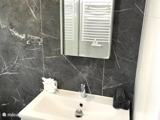 Cottage Serendipity - Natuur & Luxe huren in Nederland, Gelderland, Beekbergen - chalet Wastafel en meubel met föhn