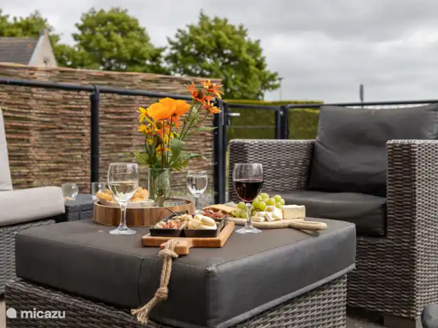 Maison de vacances de luxe avec spa et sauna | Pays-Bas, Frise, Tzummarum - maison de vacances Prenez un verre sur la terrasse.
