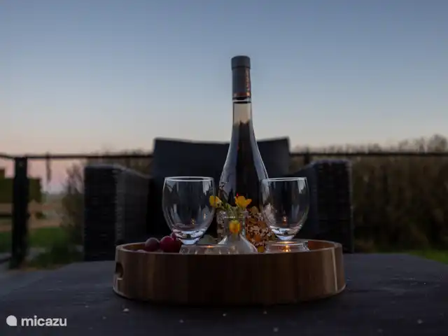 Maison de vacances de luxe avec spa et sauna | Pays-Bas, Frise, Tzummarum - maison de vacances Photo d’ambiance de notre terrasse à l’arrière de la maison.