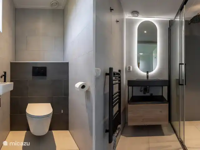 Maison de vacances de luxe avec spa et sauna | Pays-Bas, Frise, Tzummarum - maison de vacances Toilettes séparées à côté de la salle de bain.