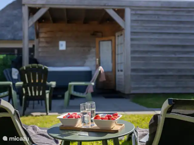 Maison de vacances de luxe avec spa et sauna | Pays-Bas, Frise, Tzummarum - maison de vacances Notre espace bien-être à l’avant de la maison.