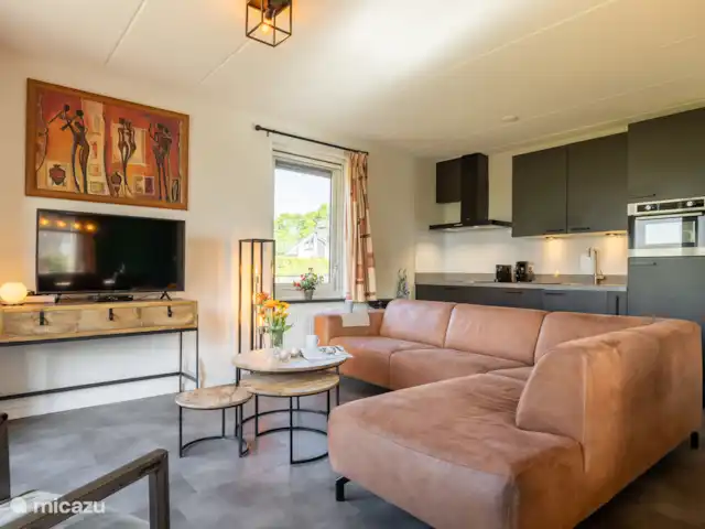 Maison de vacances de luxe avec spa et sauna | Pays-Bas, Frise, Tzummarum - maison de vacances Profitez d’une soirée Netflix sur notre téléviseur 40 pouces.