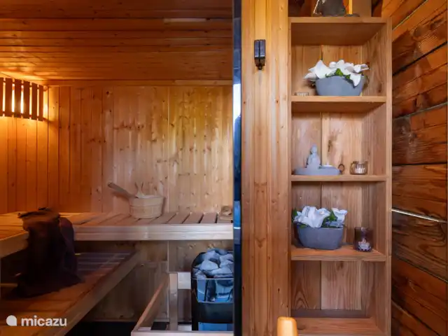 Maison de vacances de luxe avec spa et sauna | Pays-Bas, Frise, Tzummarum - maison de vacances Bien sûr, l’eau d’infusion ne doit pas manquer ainsi que les appuie-tête.