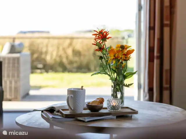 Maison de vacances de luxe avec spa et sauna | Pays-Bas, Frise, Tzummarum - maison de vacances Un moment café.