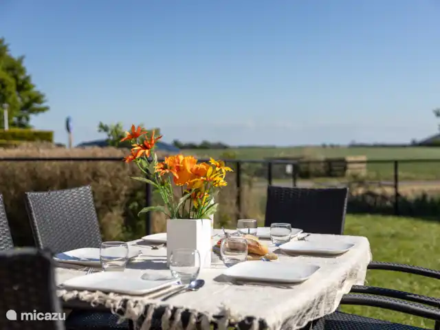 Maison de vacances de luxe avec spa et sauna | Pays-Bas, Frise, Tzummarum - maison de vacances Photo de notre terrasse à l’arrière avec une large vue sur les prairies.