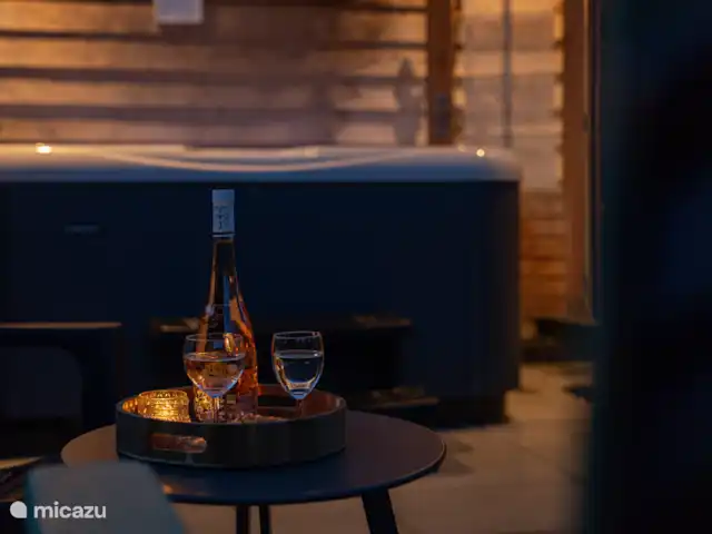 Maison de vacances de luxe avec spa et sauna | Pays-Bas, Frise, Tzummarum - maison de vacances Photo d’ambiance au spa.