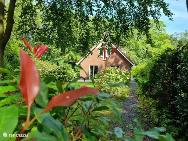 Bungalow en el bosque Jardines en Países Bajos, Güeldres, Garderen - bungaló Bungalow en el bosque Jardines en Países Bajos, Güeldres, Garderen - bungaló
