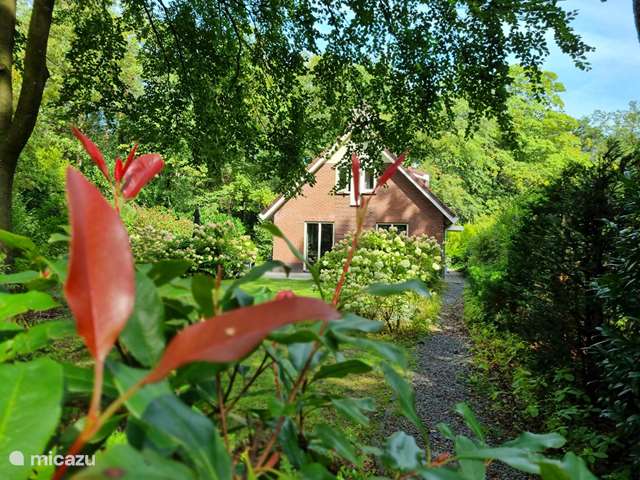 Holiday home in Netherlands, Gelderland, Garderen - bungalow Forest bungalow Garderen