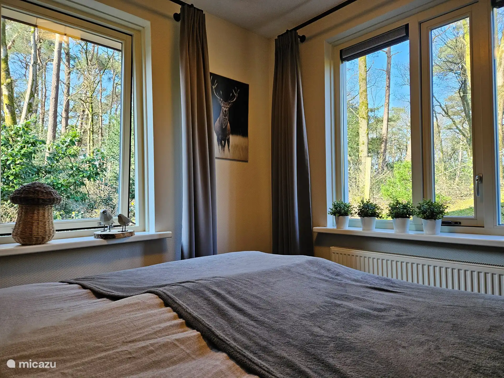 Es maravilloso despertar con una hermosa vista.