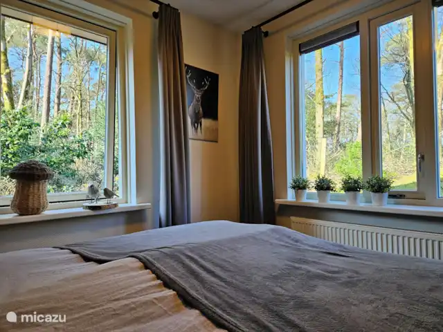Bungalow en el bosque Jardines en Países Bajos, Güeldres, Garderen - bungaló Es maravilloso despertar con una hermosa vista.