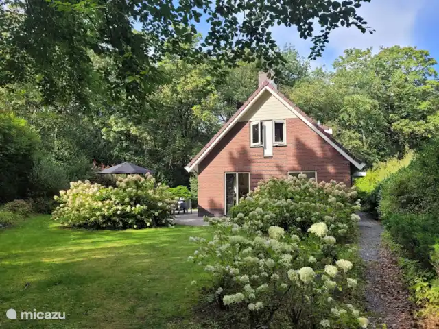 Bungalow en el bosque Jardines en Países Bajos, Güeldres, Garderen - bungaló Al lado del bungalow hay una bonita terraza con una amplia mesa de comedor para 8 personas con sombrilla.