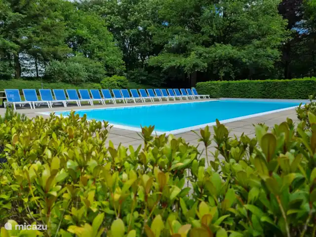 Bungalow en el bosque Jardines en Países Bajos, Güeldres, Garderen - bungaló La piscina climatizada al aire libre.