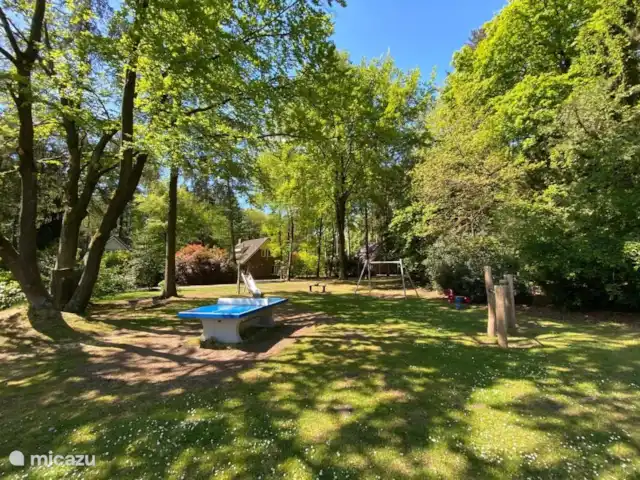 Bungalow en el bosque Jardines en Países Bajos, Güeldres, Garderen - bungaló Hay un pequeño parque infantil en el parque para los más pequeños. Hay una mesa de ping-pong para los mayores.