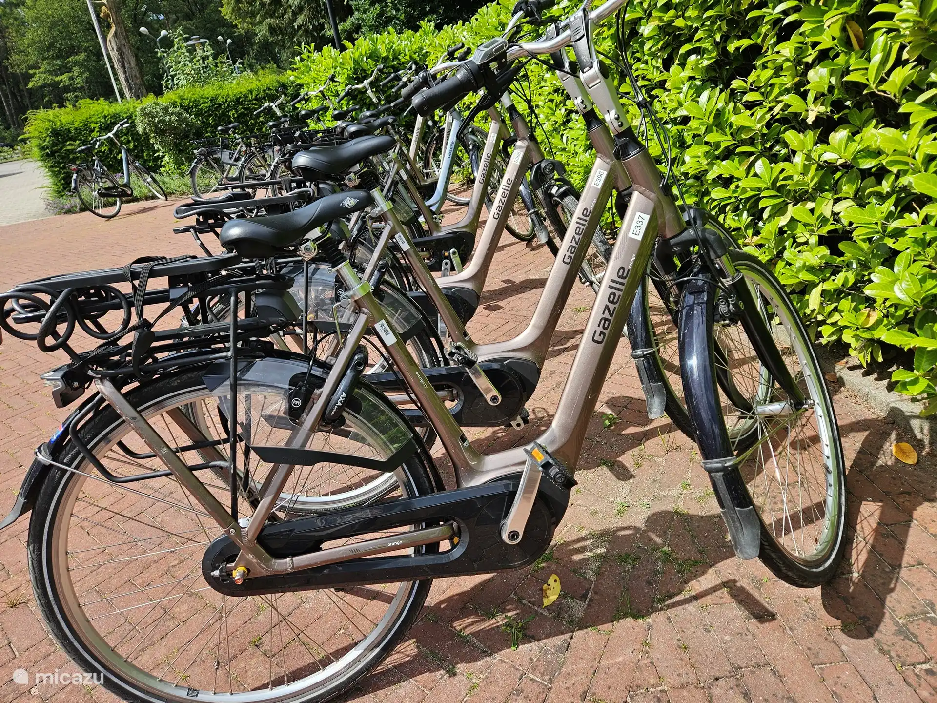 El hotel ofrece una amplia gama de servicios, incluido el alquiler de bicicletas.