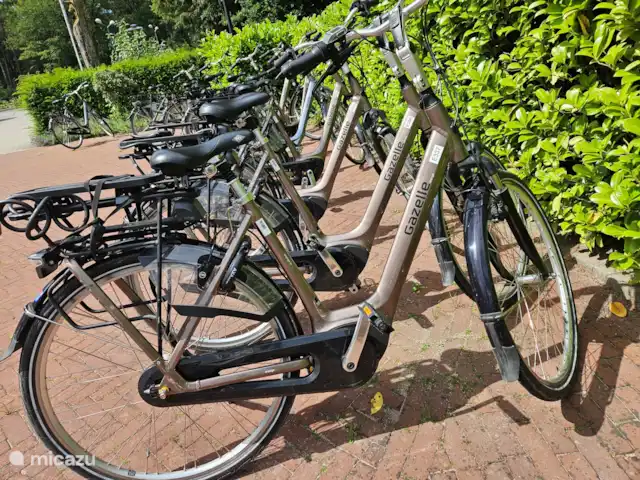 Bungalow en el bosque Jardines en Países Bajos, Güeldres, Garderen - bungaló El hotel ofrece una amplia gama de servicios, incluido el alquiler de bicicletas.