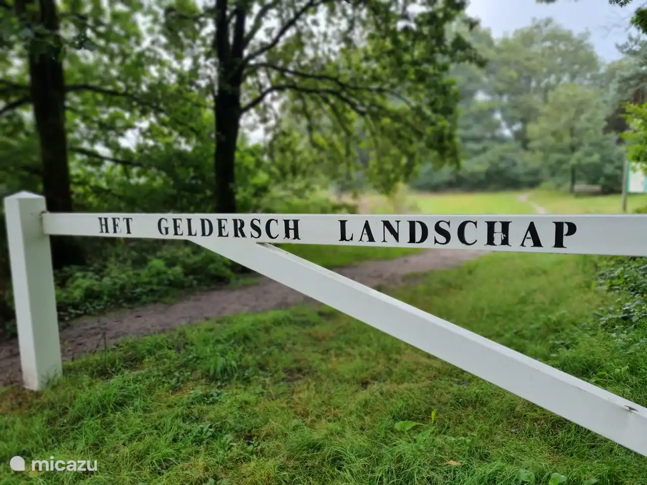 Desde el bungalow se puede caminar directamente hacia el páramo.