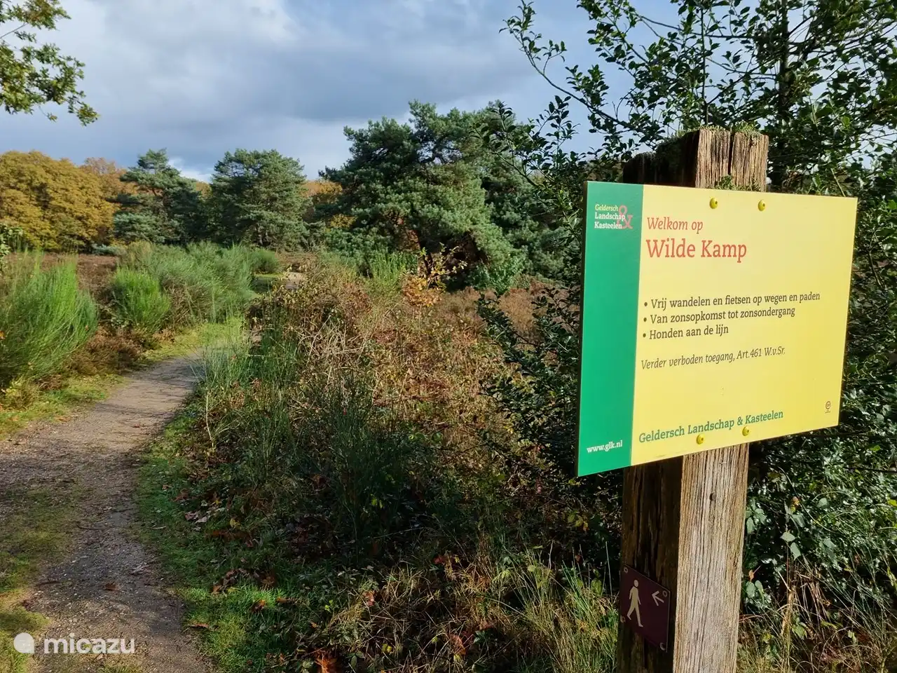 El bungalow del bosque se encuentra en la reserva natural de Wildekamp.