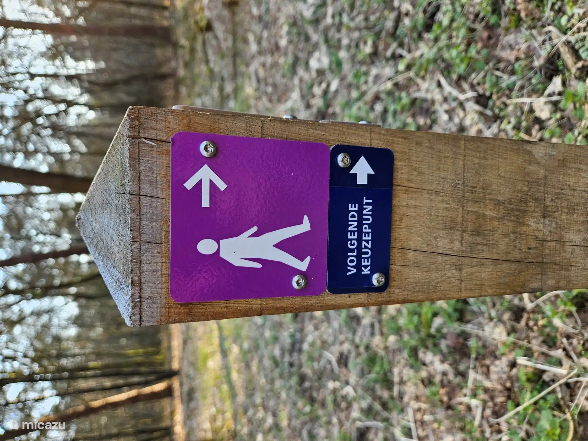 Desde el bungalow se pueden seguir directamente estas rutas de senderismo señalizadas.