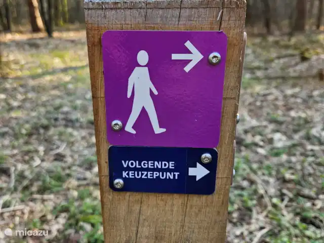 Bungalow en el bosque Jardines en Países Bajos, Güeldres, Garderen - bungaló Desde el bungalow se pueden seguir directamente estas rutas de senderismo señalizadas.