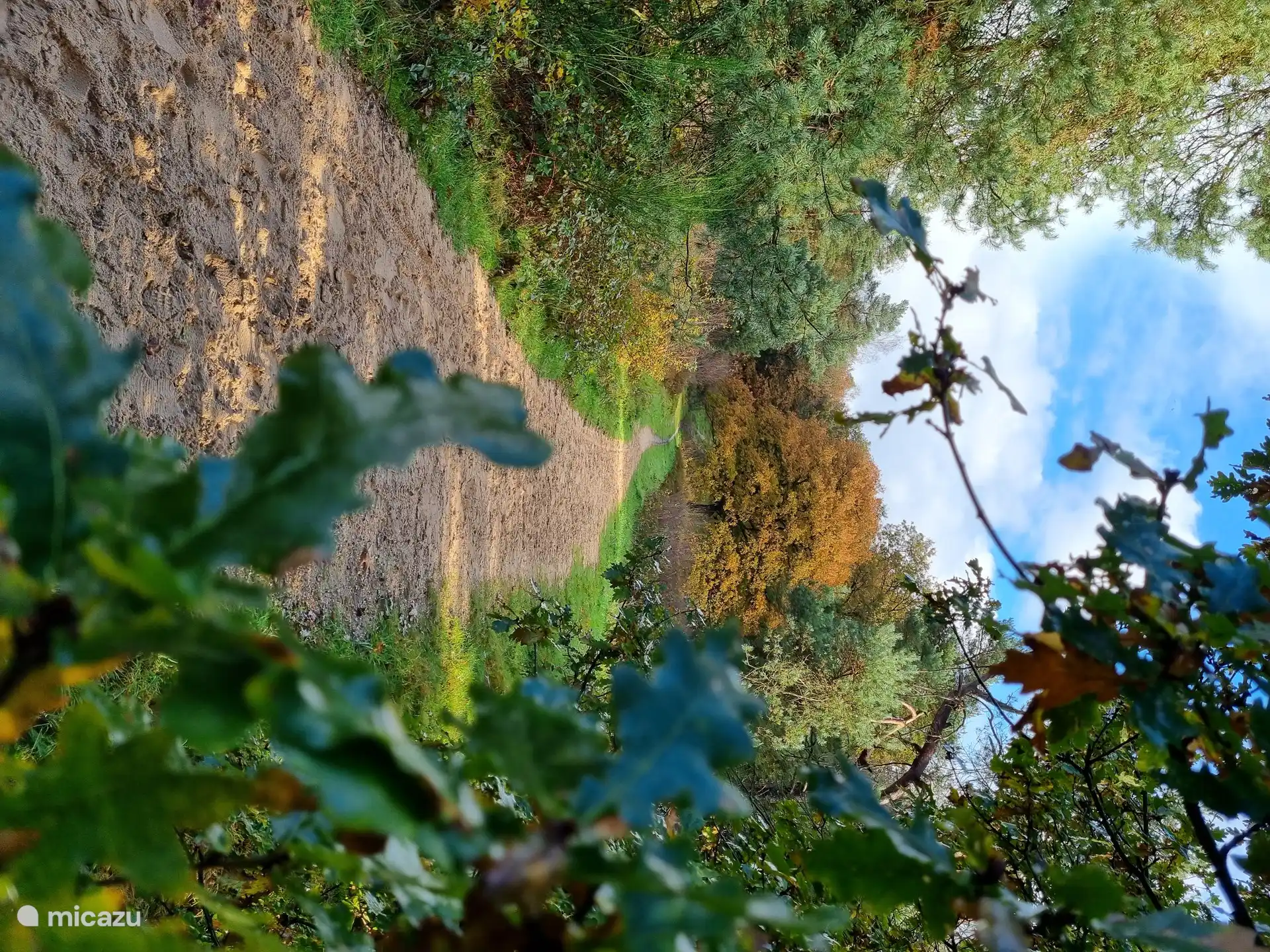 Rutas de senderismo sin fin...