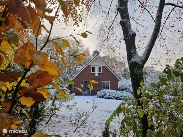 Bungalow en el bosque Jardines en Países Bajos, Güeldres, Garderen - bungaló Cada estación tiene su propio encanto