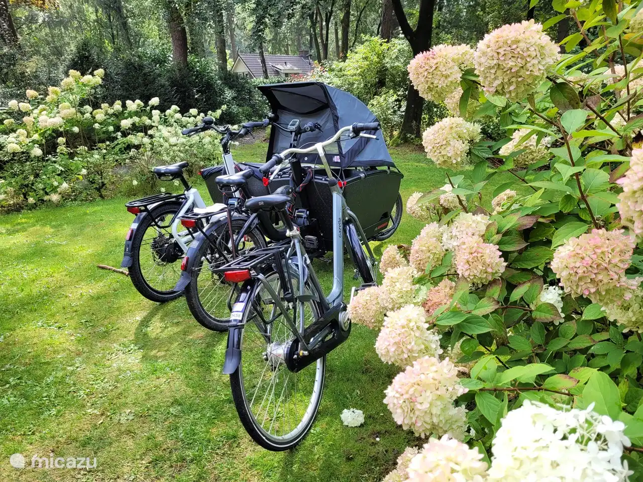 Desde el bungalow del bosque se pueden hacer paseos en bicicleta muy agradables. En el hotel se pueden alquilar bicicletas (incluidas bicicletas eléctricas).